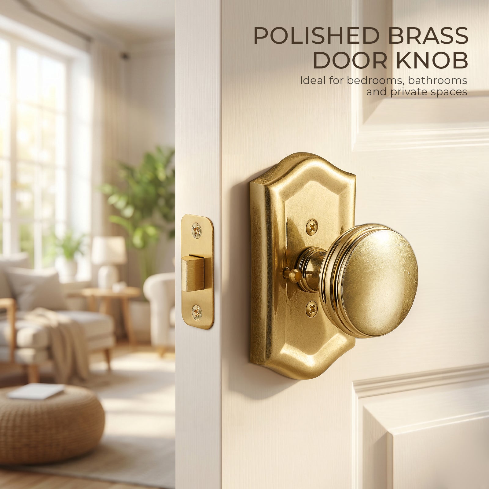 Renaissance Collection | Hand-Burnished Brass Privacy Door Knob